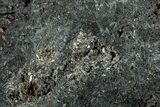 Polished Reticulated Hematite Slab - Western Australia #208227-1